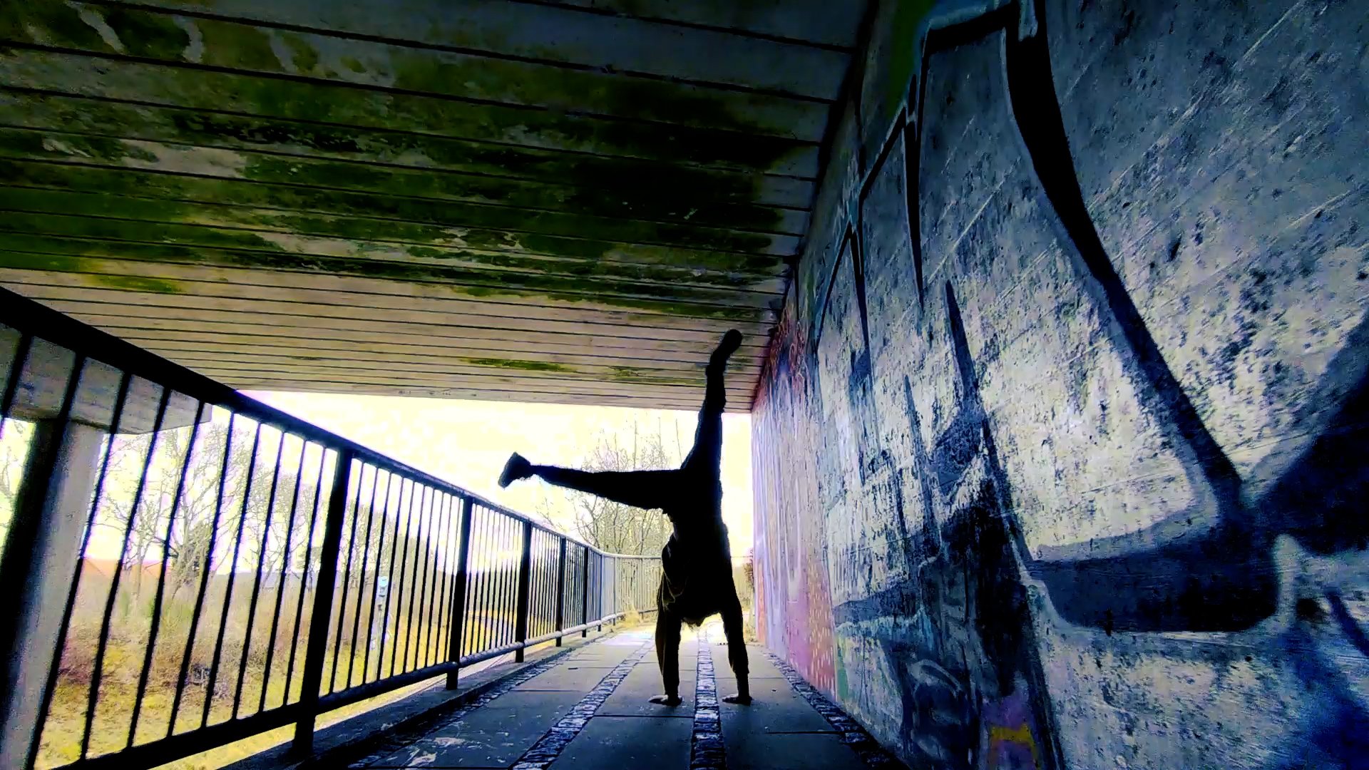 Site Specific Performance (2021)