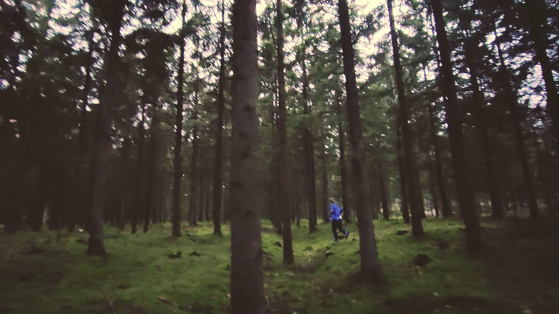 Lost In The Woods (2020)