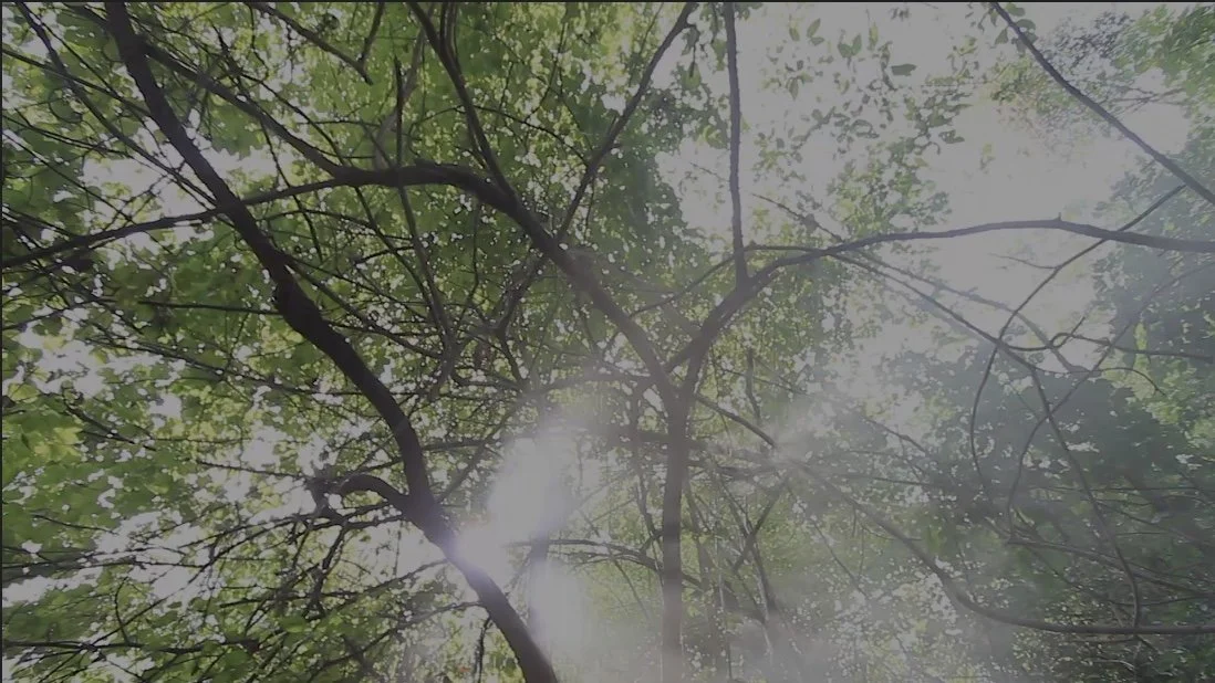 Image 2025-03-10 at 12.27 PM.JPG