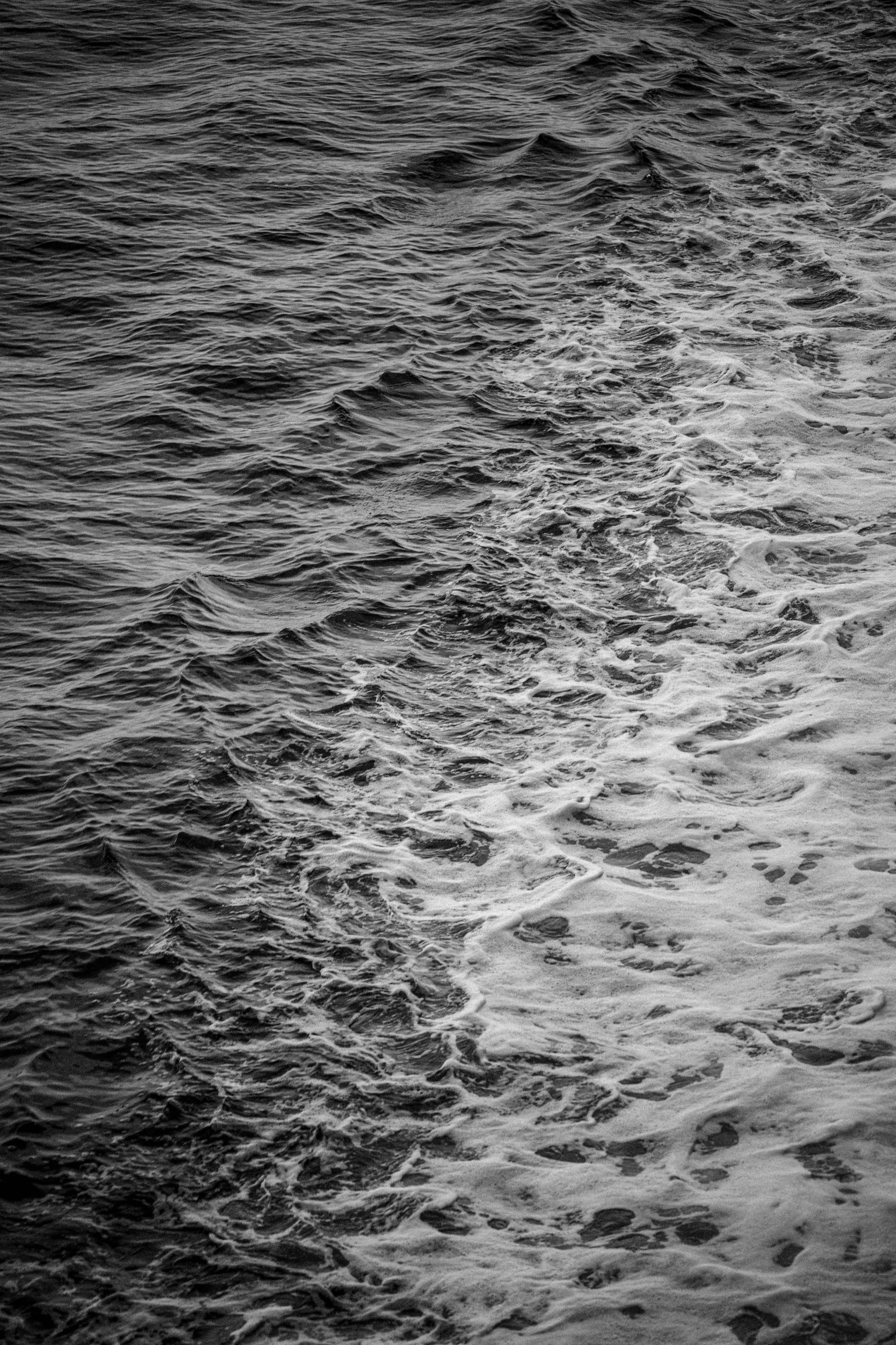 DSC_6235.jpg