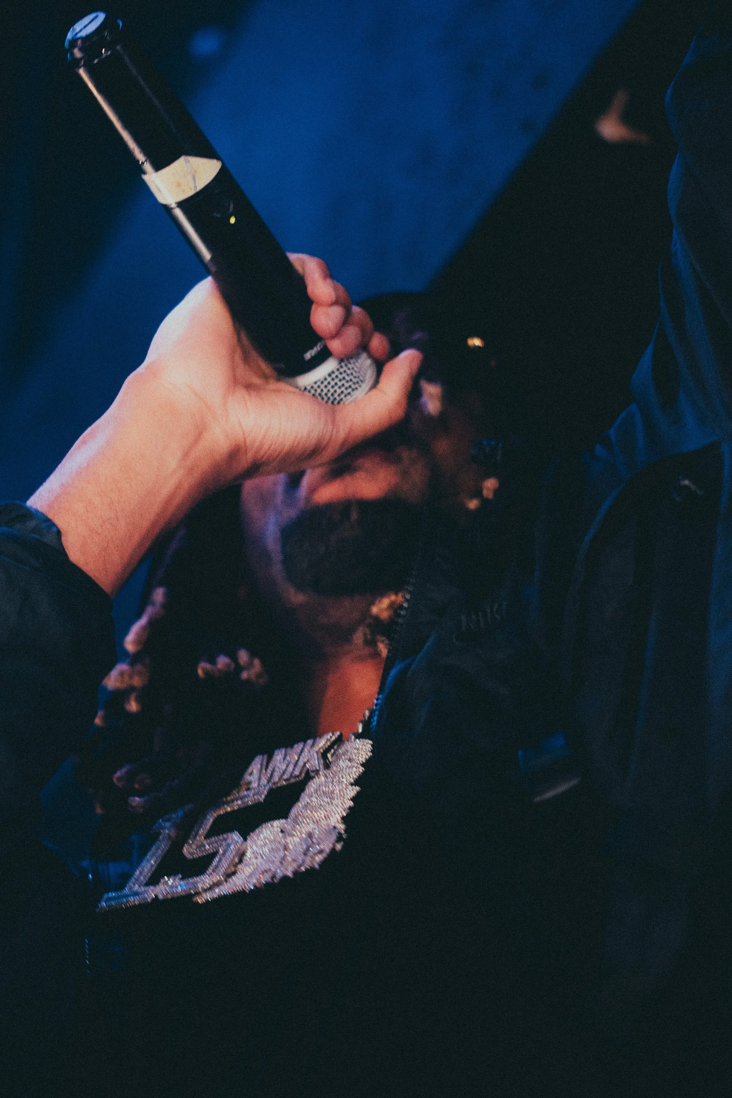 Une personne tient un microphone près d'un chien qui porte un collier orné d'un grand badge ou pendentif.