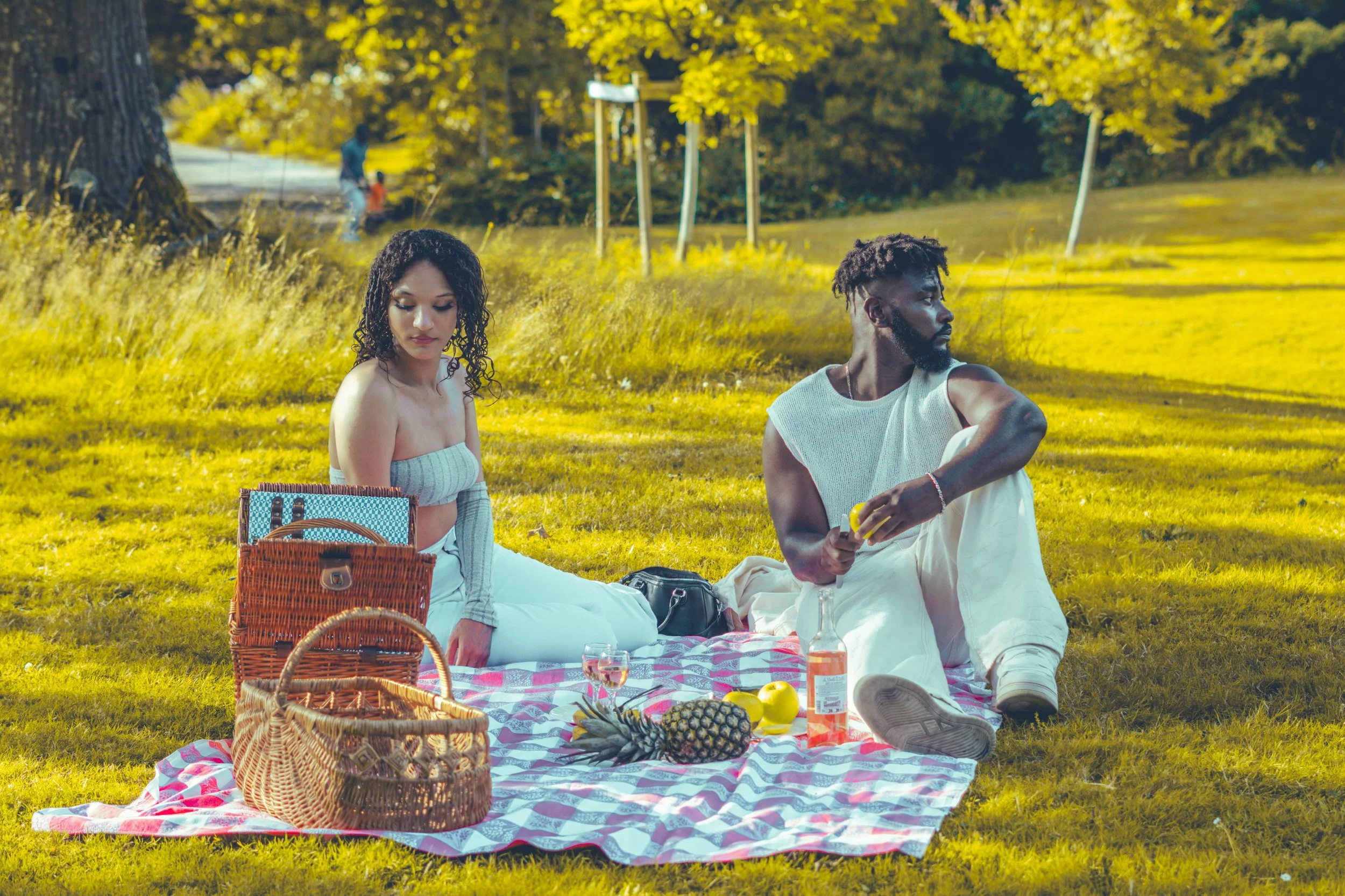Un couple assis sur une couverture à pique-nique dans un parc lors d'une journée ensoleillée. La femme porte un top court gris et des pantalons blancs, et le homme porte un débardeur gris et un pantalon clair. Autour d'eux, il y a un panier en osier,