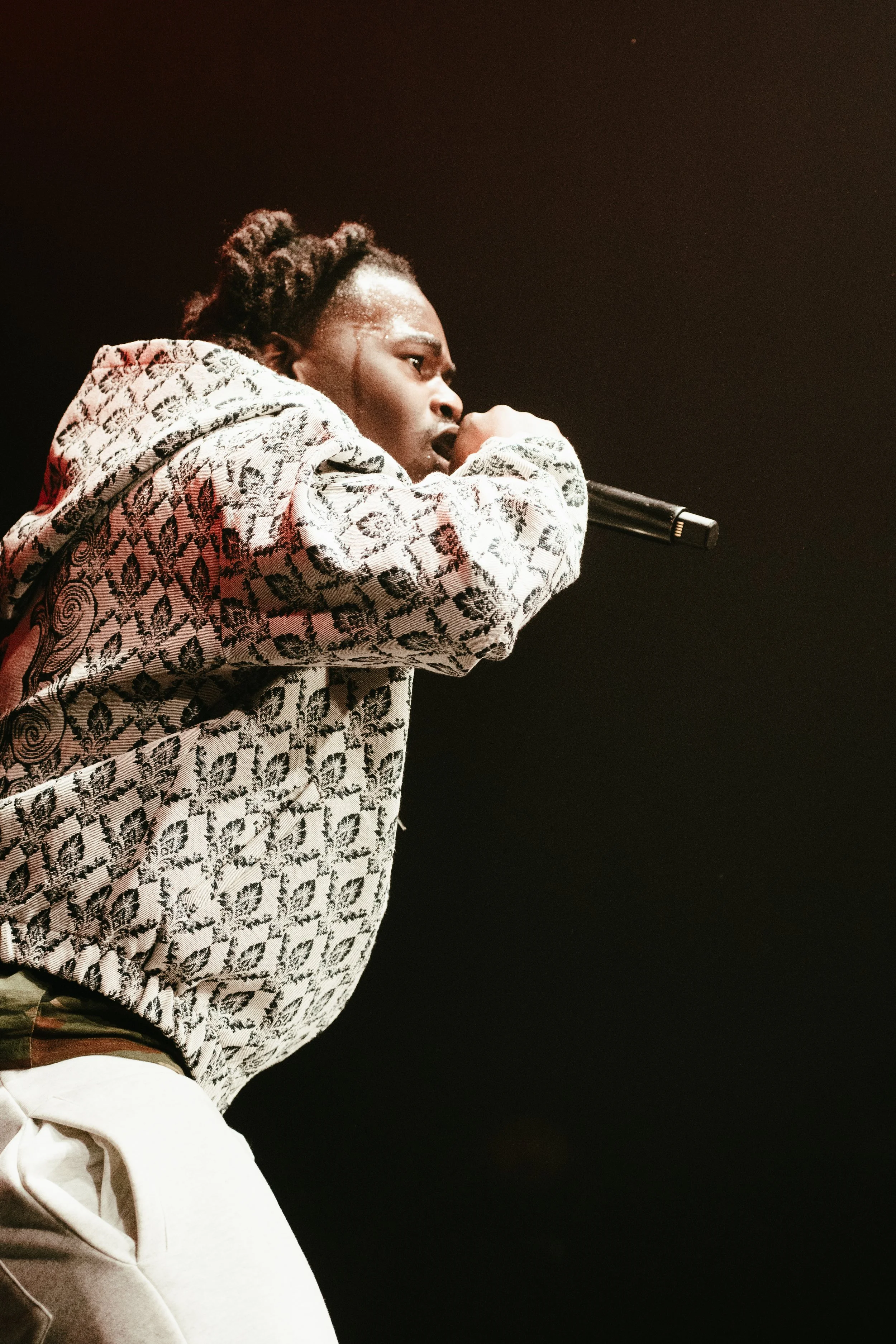 Un artiste de rap en tenue à motif, chantant dans un microphone sur scène.