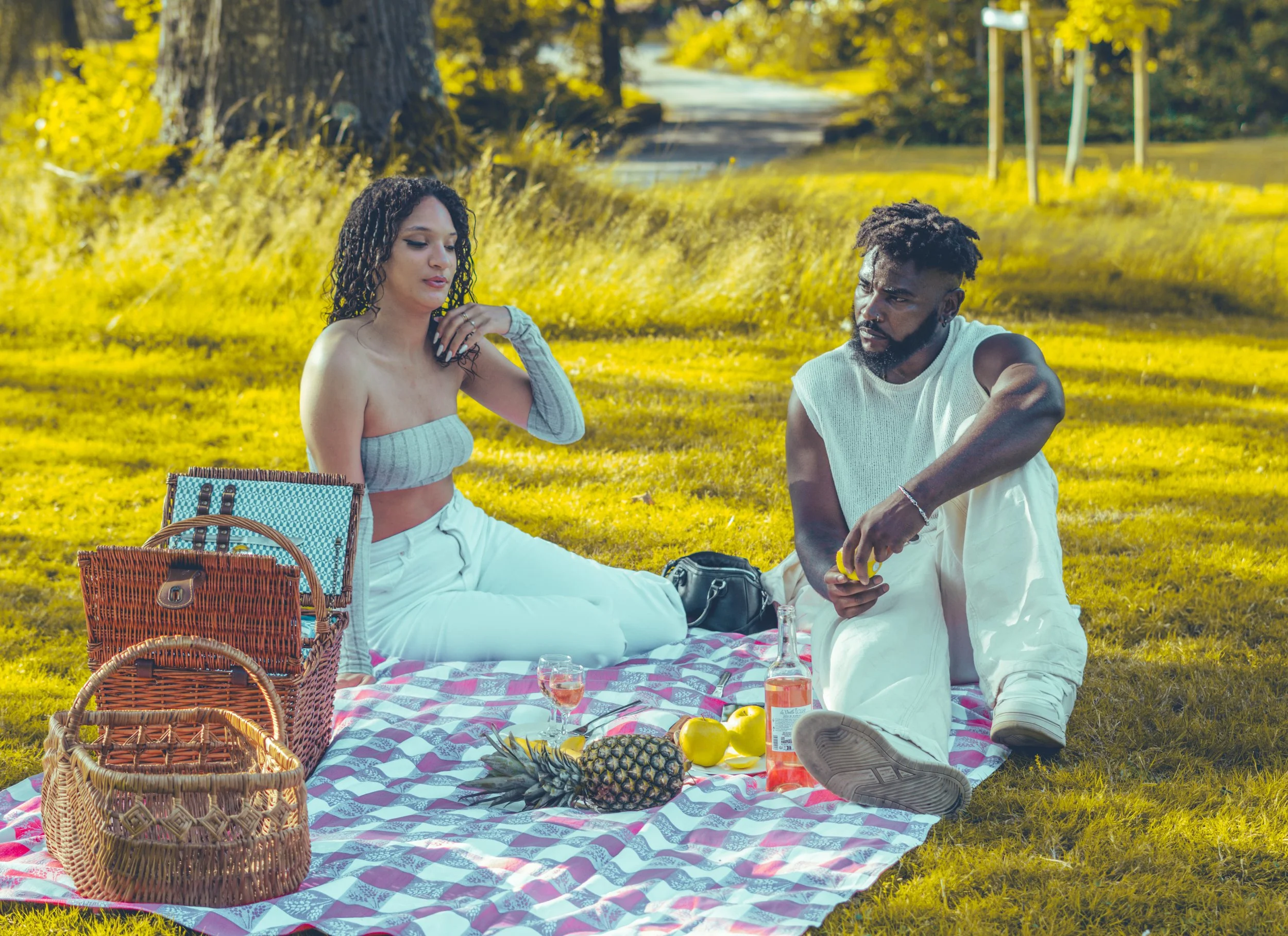 Un couple pique-niquant sur une couverture dans un parc en été, avec des paniers, des fruits, et des boissons.