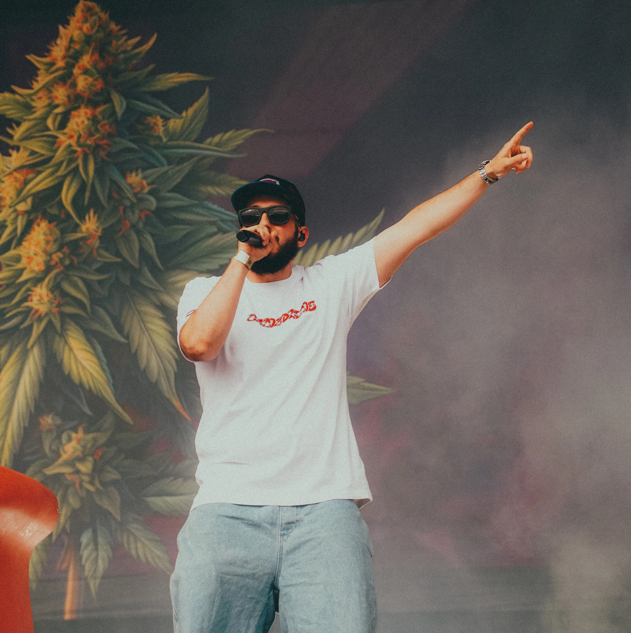 Homme portant des lunettes de soleil, un chapeau, un t-shirt blanc et un jeans, chantant ou parlant dans un micro sur scène, avec un fond décoratif représentant une grande plante de cannabis.
