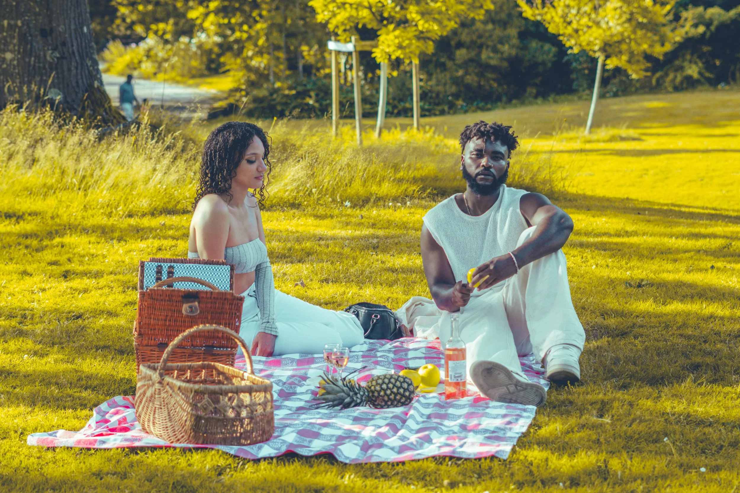 Deux personnes, un homme et une femme, faisant un pique-nique dans un parc en plein air avec herbe verte et arbres en arrière-plan.