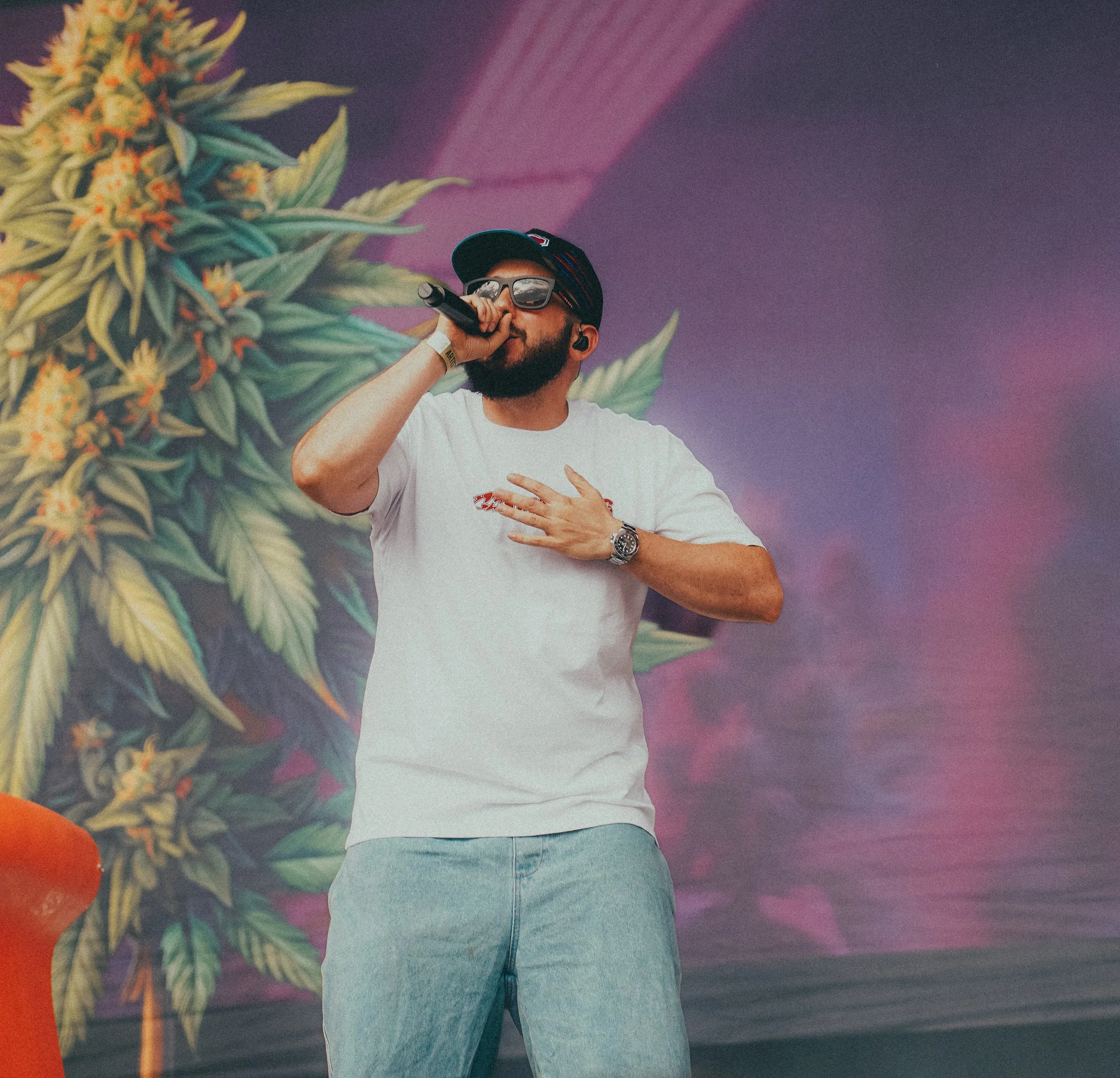 Un homme portant un t-shirt blanc, un chapeau et des lunettes de soleil, chante en tenant un micro avec un fond de grande plante de cannabis et un ciel violet-rose.