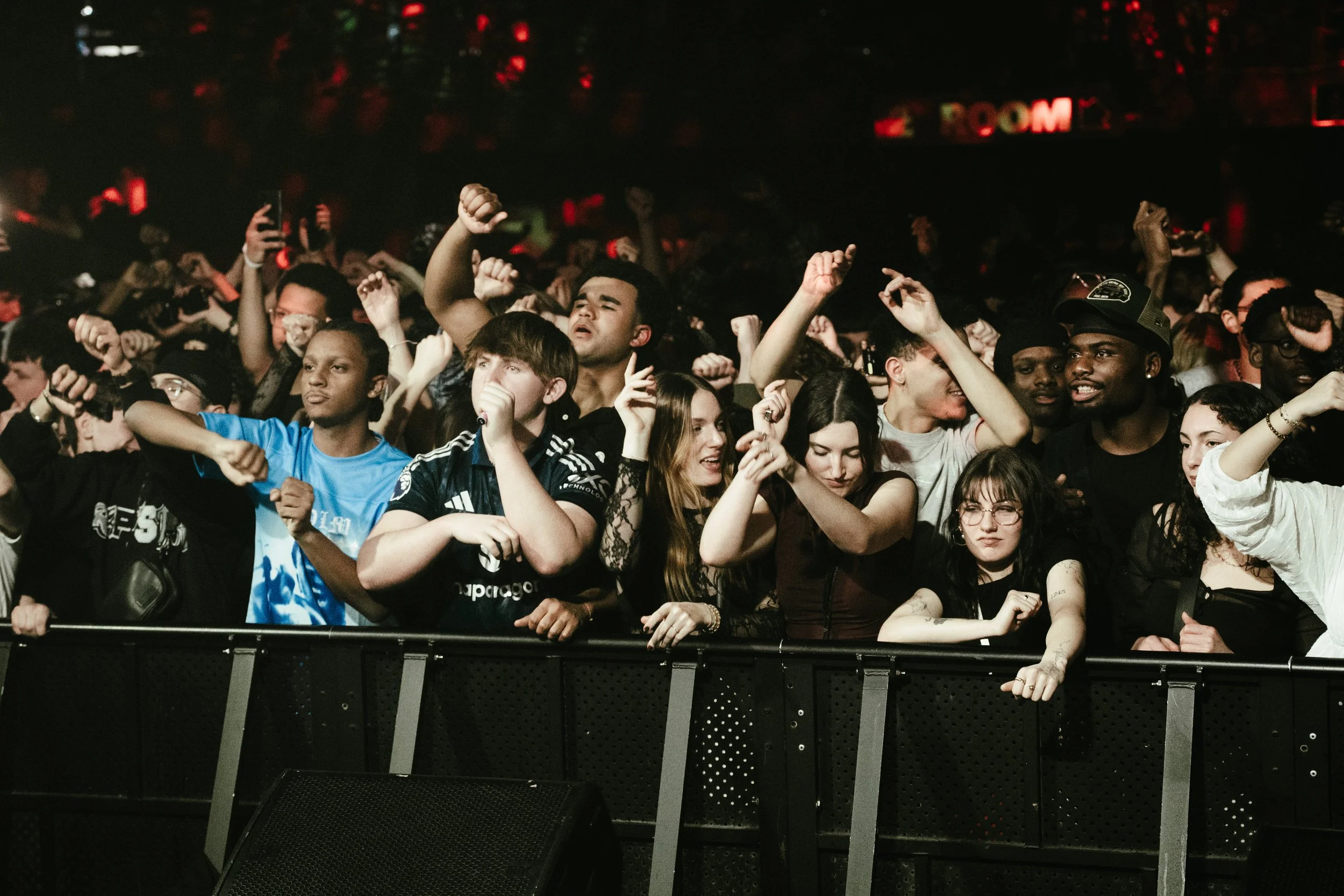 Un groupe de jeunes adultes au premier rang d'un concert ou festival, certains dansent et se distraient, avec une foule dense derrière eux.