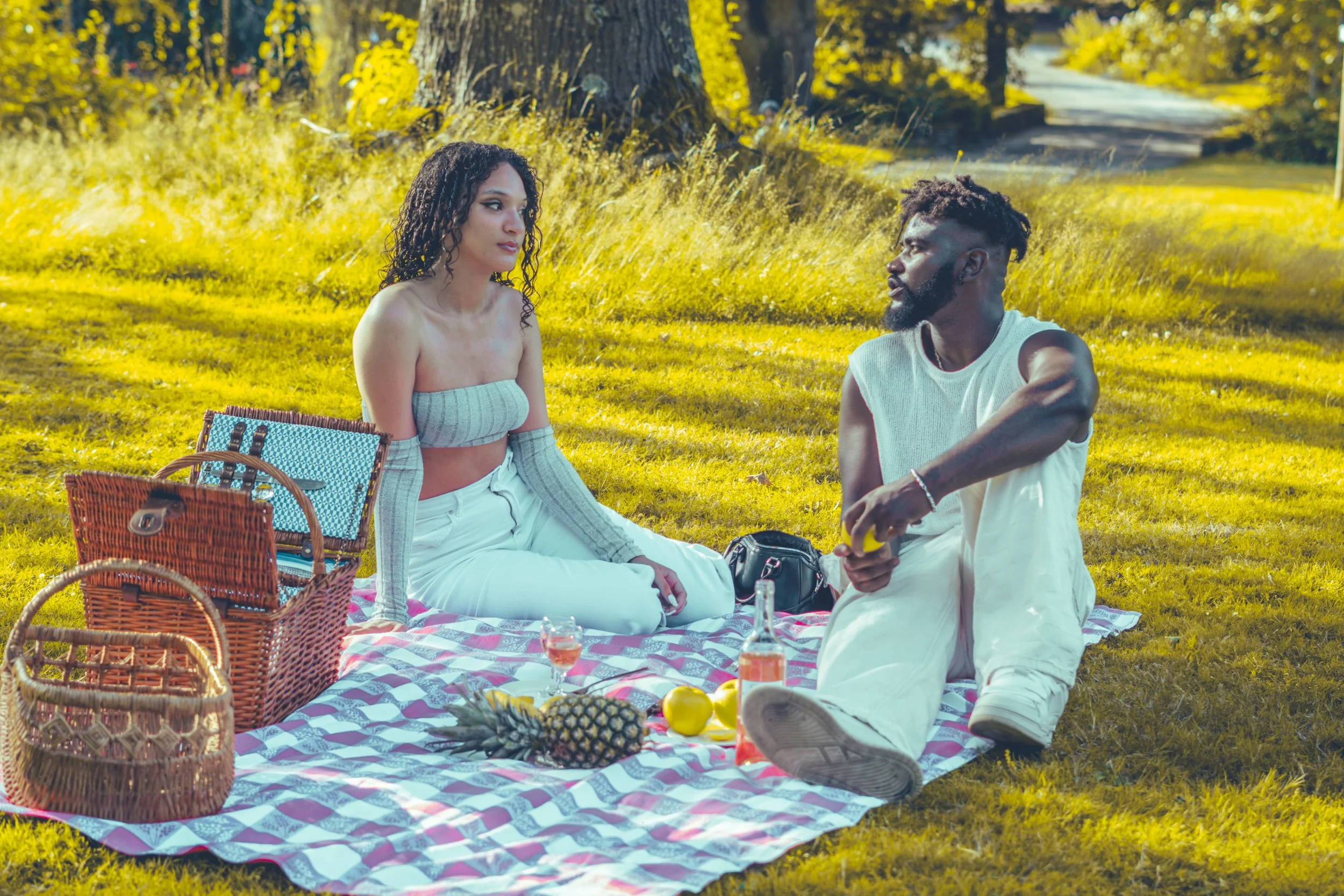 Un couple fait pique-nique sur une couverture à l'extérieur, entouré de paniers, fruits, et boissons, dans un parc ensoleillé.