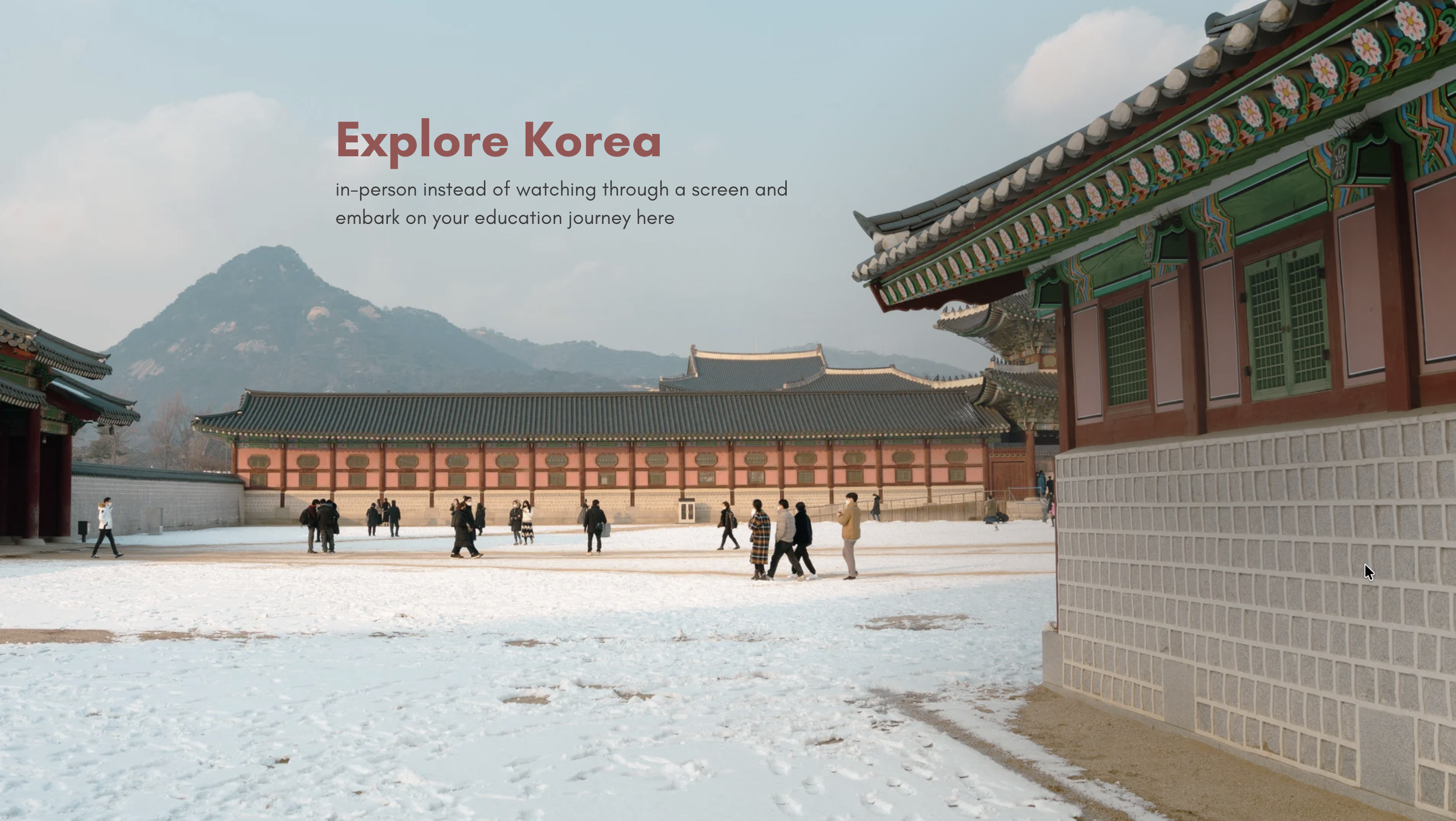 Personalised South Korean Education Pathways Portfolio