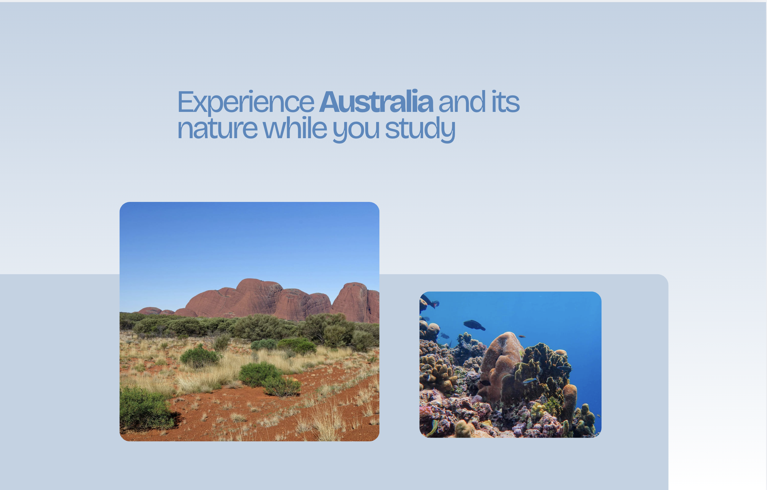 Personalised Australian Education Pathways Portfolio