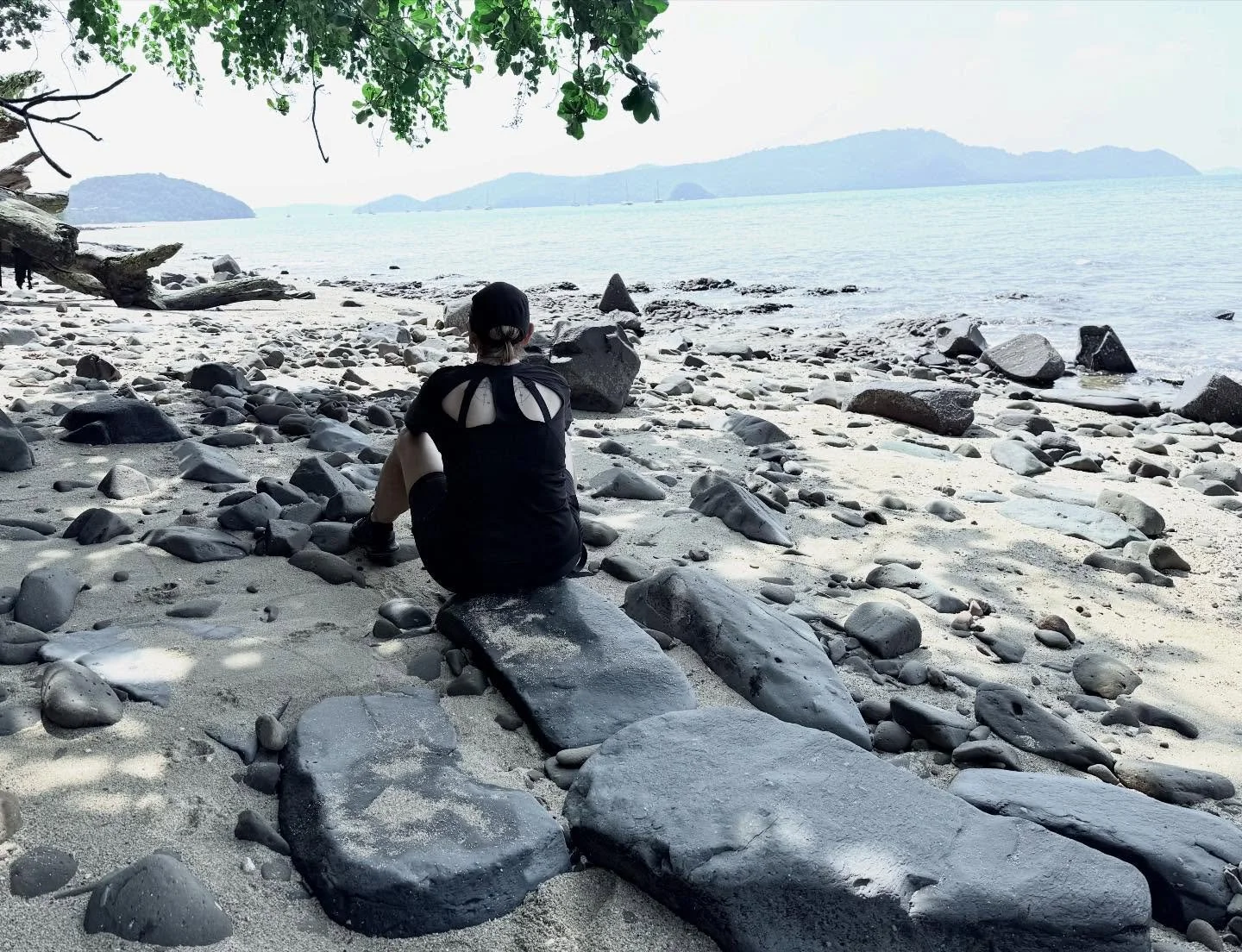 #contemplation #mangroveswamp #allstormsrunoutofrain