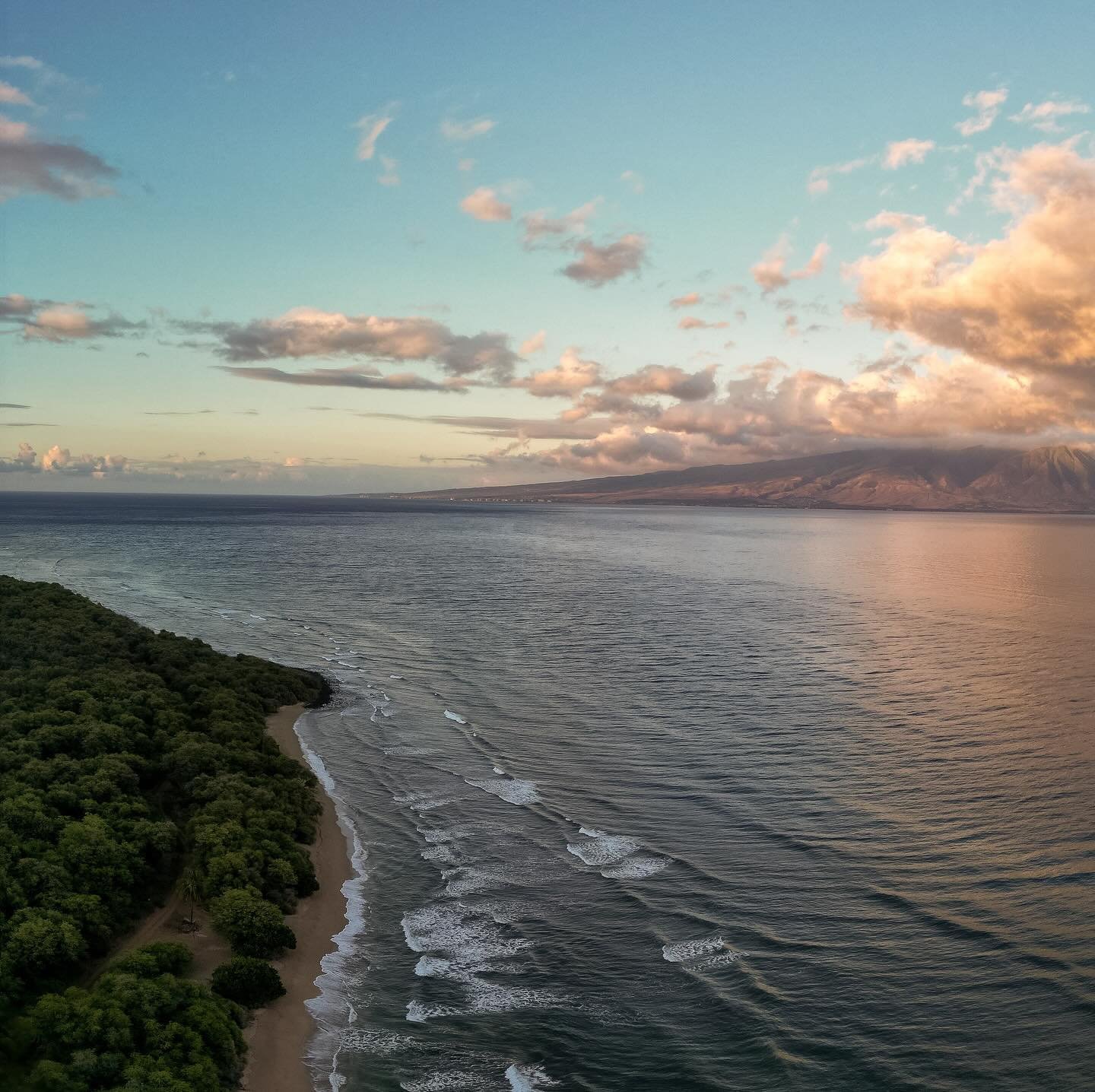 The perfect day at Lopa Beach, surfing, grilling and dancing in the moonlight with amazing people.
Happy birthday to a good friend🏄🏼‍♀️
.
.
.
.
.
.
.
.
.
.
.
.
#yourshotphotographer #hawaii #lanai #nature #beach #beautiful #naturephotography #l