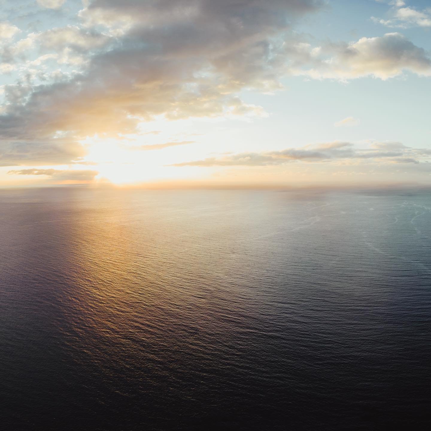 In the quiet majesty of Lanai’s sunset, the sea cliffs become storytellers, narrating the timeless epic of land, sea, and sky.
.
.
.
.
.
.
.
.
.
.
.
#yourshotphotographer #hawaii #lanai #nature #naturephotography #landscapephotography #seaclif