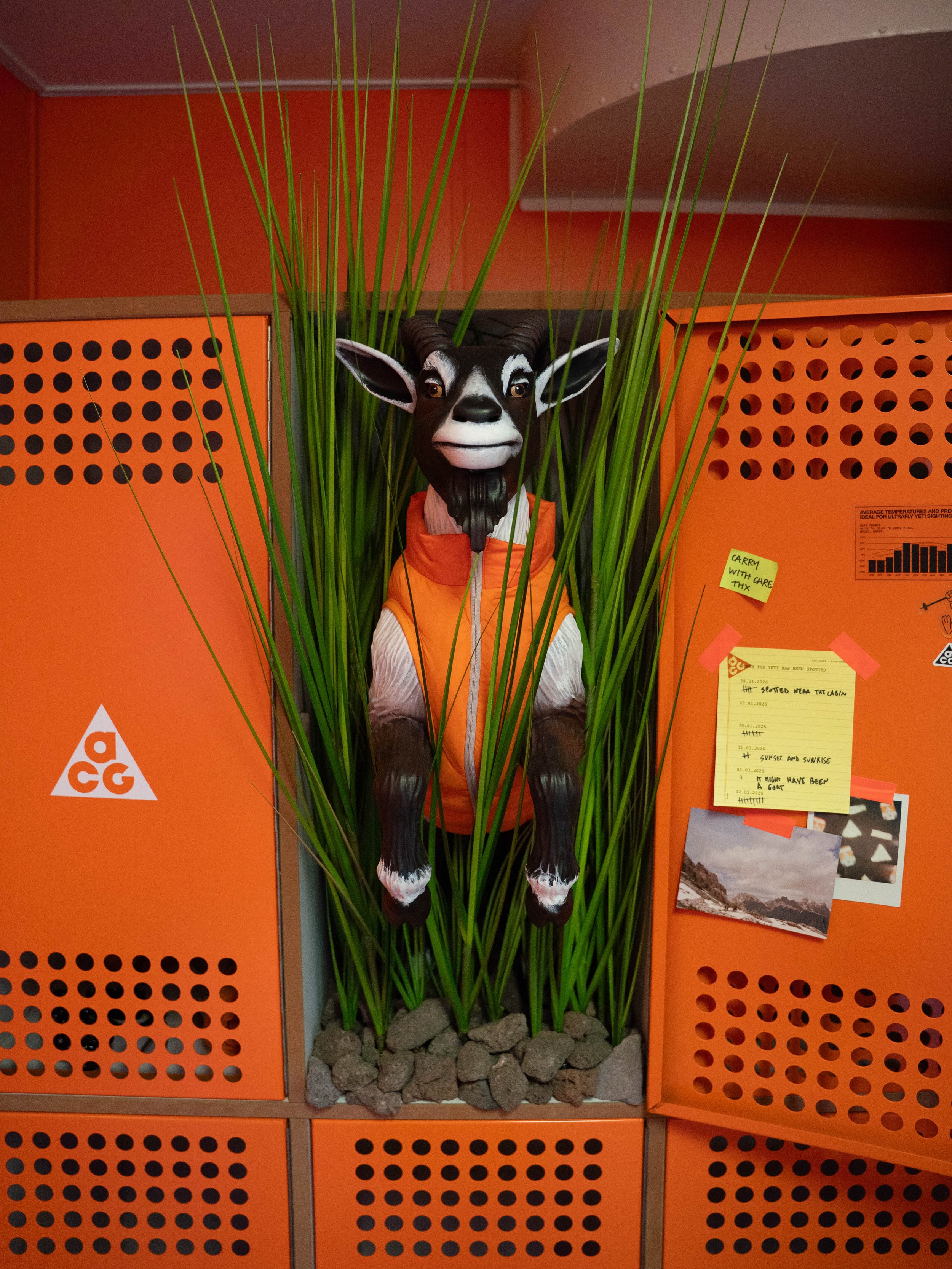 DSC05425.jpg