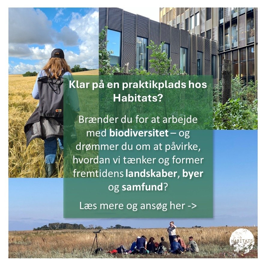 🌿 Br&aelig;nder du for at arbejde med biodiversitet &ndash; og dr&oslash;mmer du om at p&aring;virke, hvordan vi t&aelig;nker og former fremtidens landskaber, byer og samfund?
S&aring; har vi m&aring;ske det helt rigtige sted for dit praktikophold. 