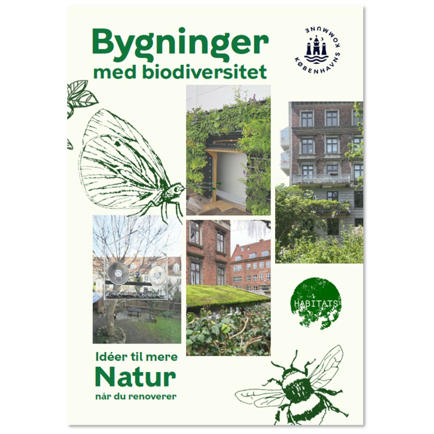 Biodiversitet og bygninger &ndash; hvordan h&aelig;nger det sammen? 

Hver gang vi renoverer en bygning, har vi en mulighed &ndash; ikke kun for at forbedre bygningen, men for at skabe bedre vilk&aring;r for biodiversitet og g&oslash;re byen mere lev