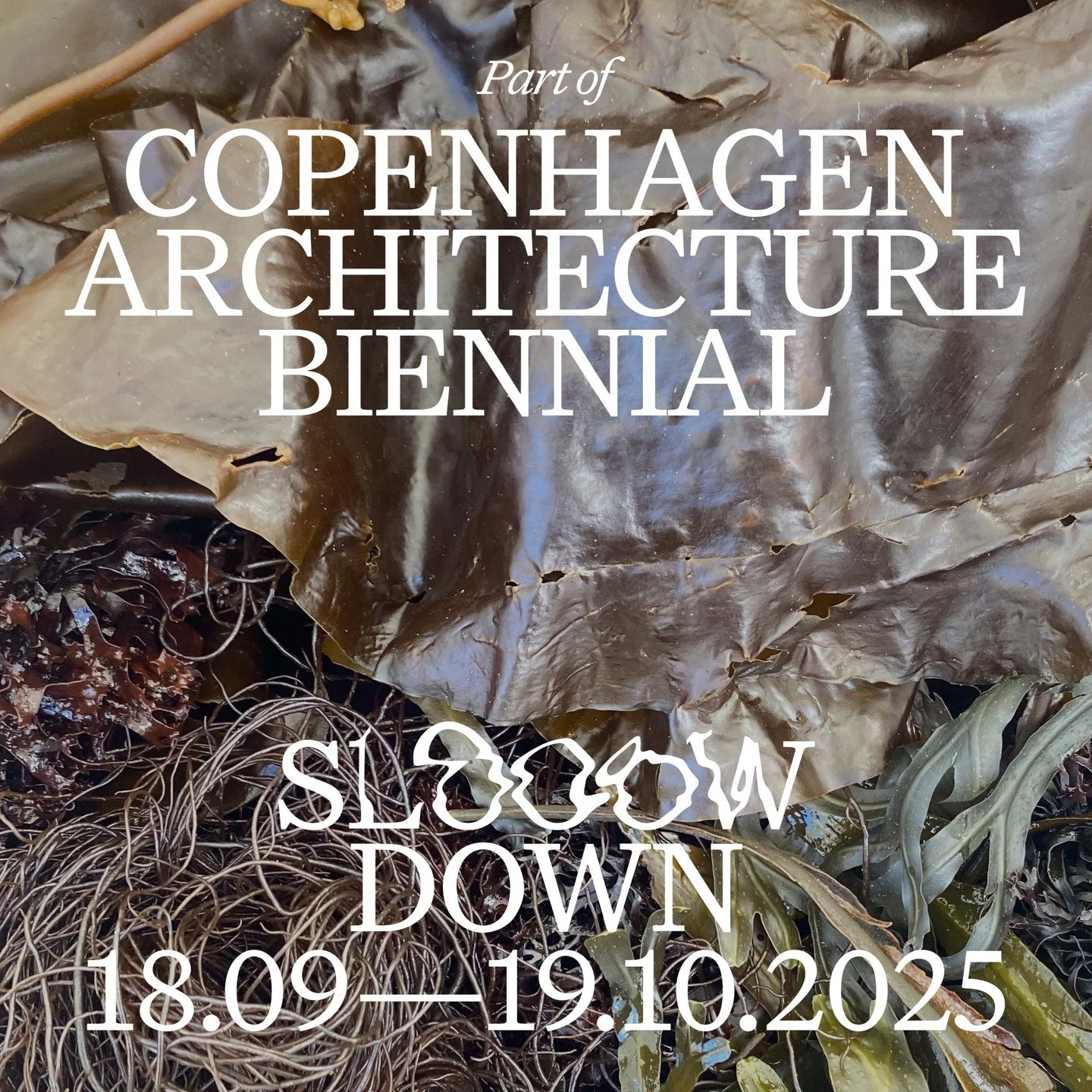 Hele havet &ndash; myter, materialer og visioner
Hvordan kan vi fort&aelig;lle nye historier om havet &ndash; et sted fuld af liv, myter og udfordringer under overfladen?

Under @copenhagenarchitecturebiennial inviterer vi til en sanselig workshop p&