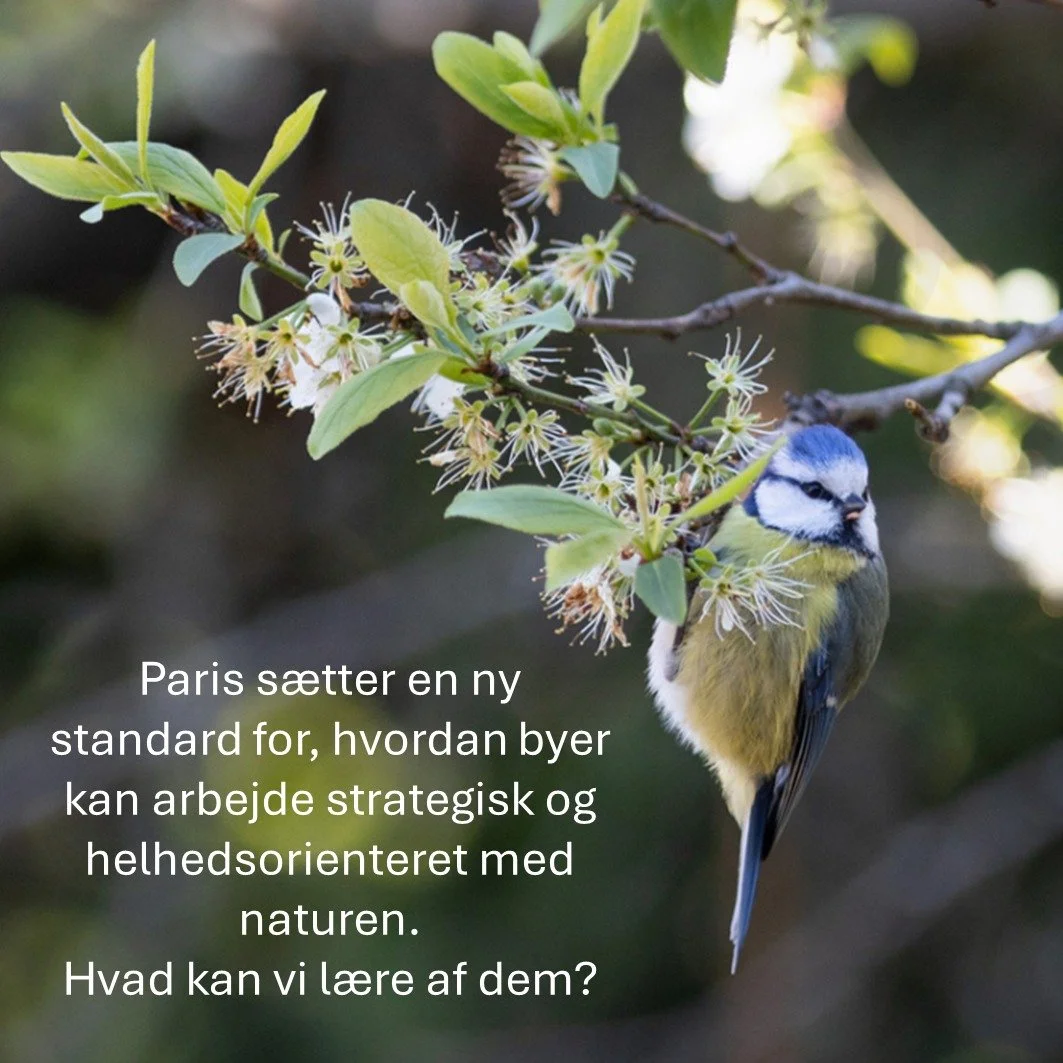 Paris har netop vedtaget en ny og ambiti&oslash;s biodiversitetsplan, der s&aelig;tter en ny standard for, hvordan byer kan arbejde strategisk og helhedsorienteret med naturen.

Planen indeholder en r&aelig;kke konkrete tiltag, herunder m&aring;ling 