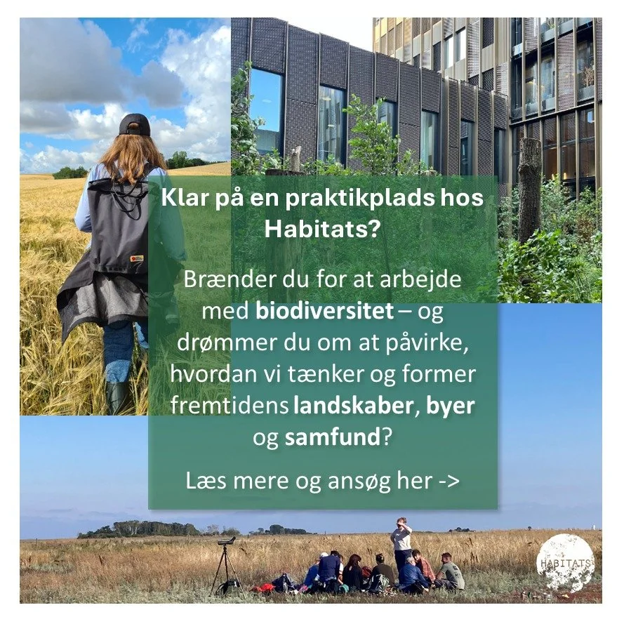 🌿 Br&aelig;nder du for at arbejde med biodiversitet &ndash; og dr&oslash;mmer du om at p&aring;virke, hvordan vi t&aelig;nker og former fremtidens landskaber, byer og samfund?
S&aring; har vi m&aring;ske det helt rigtige sted for dit praktikophold. 