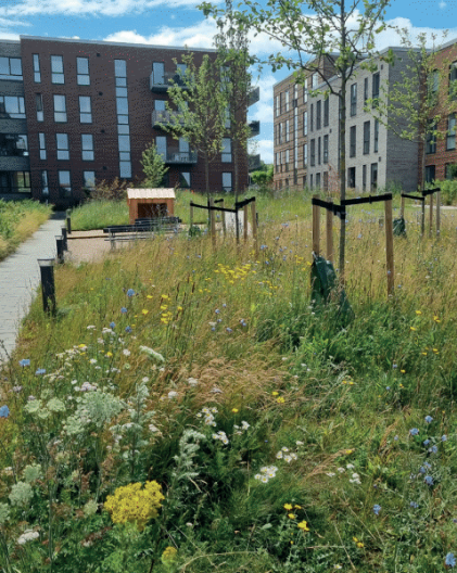 PFA: Strategisk arbejde med biodiversitet