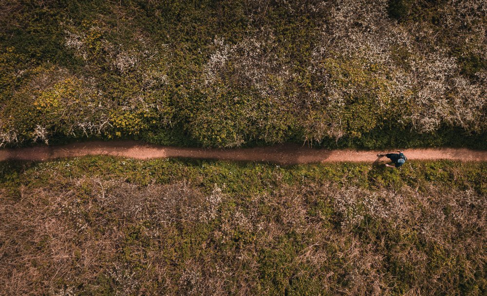 20240425-DJI_0722-Enhanced-NR.jpg