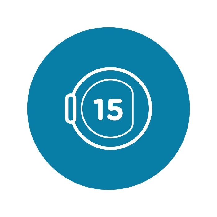 Rapid 15'
