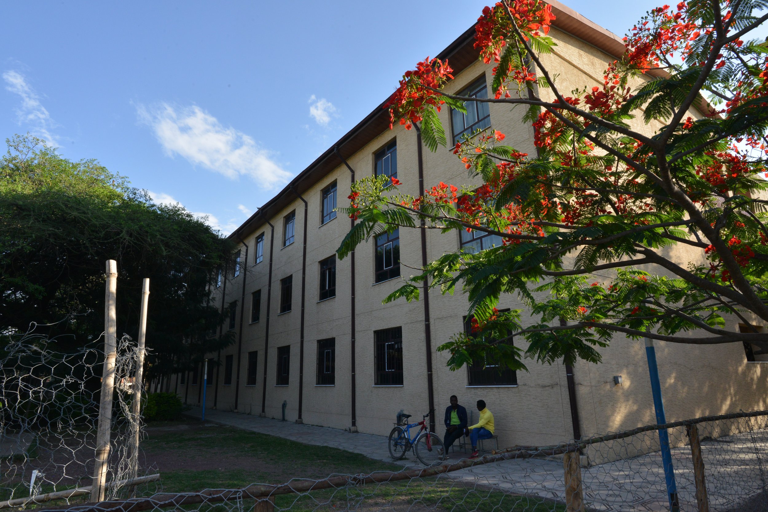 DSC_4692.JPG