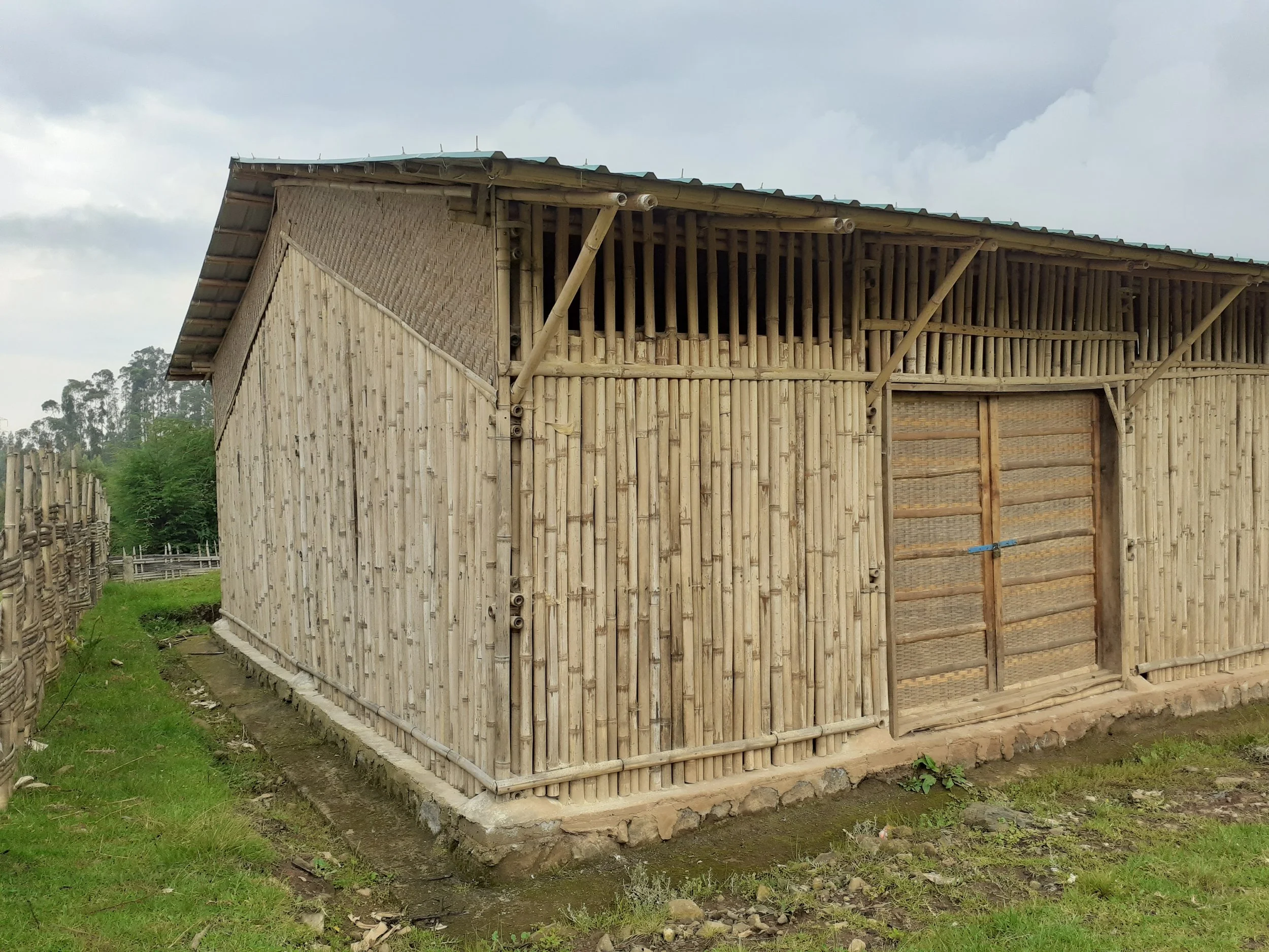 bamboo treatment center 2.jpg