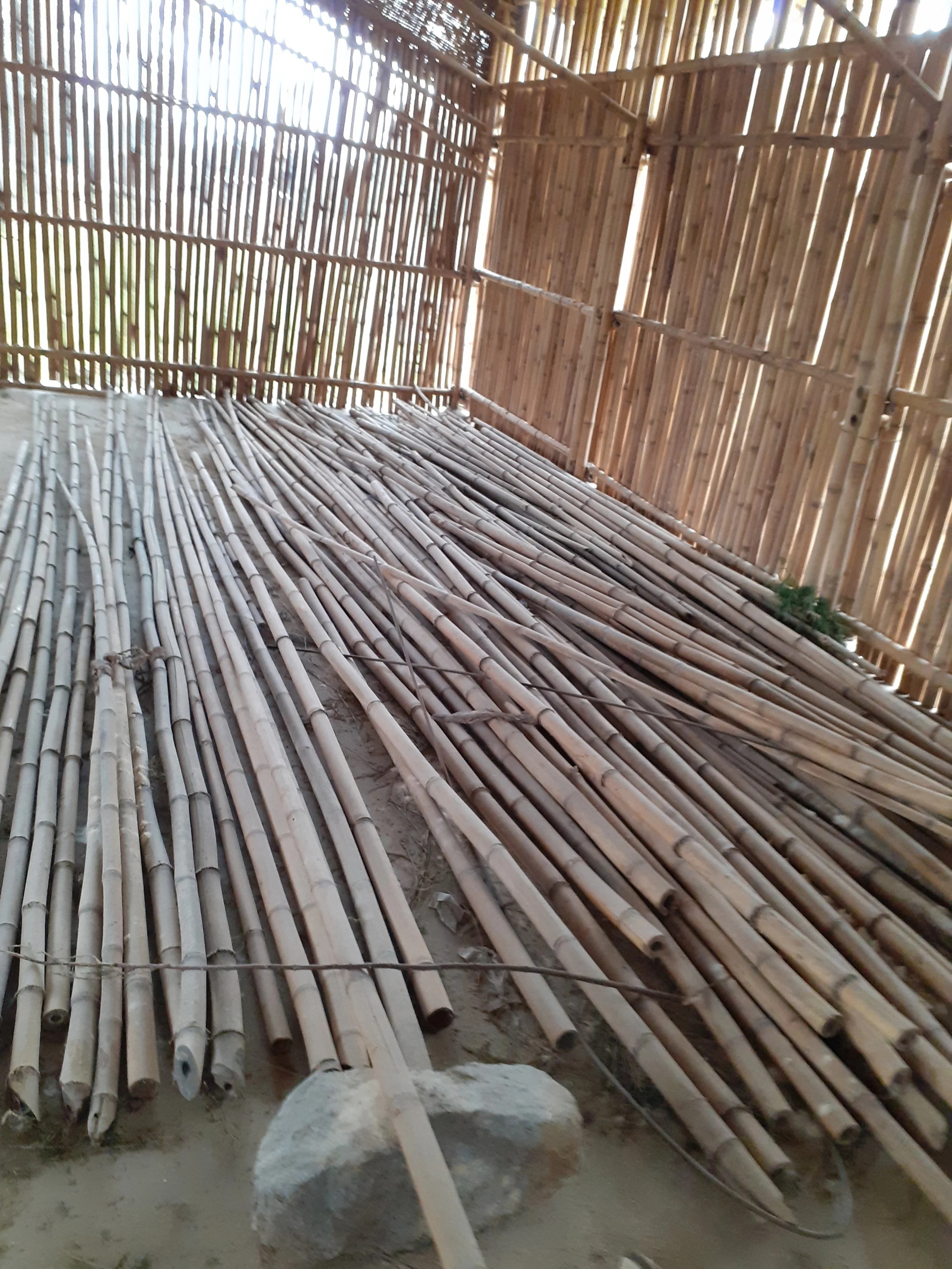 bamboo treatment center 4.jpg