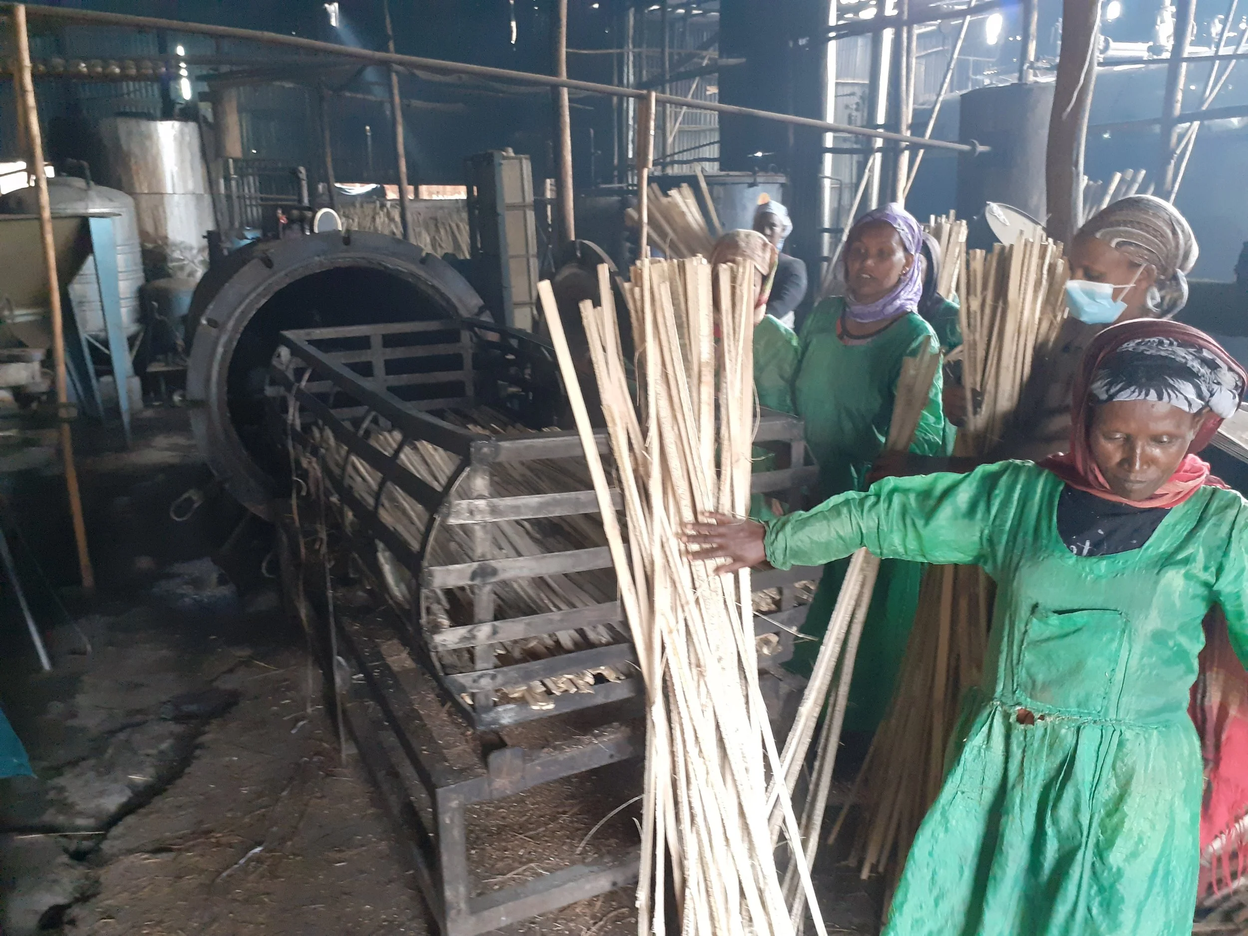 investiganting existing bamboo industry.jpg