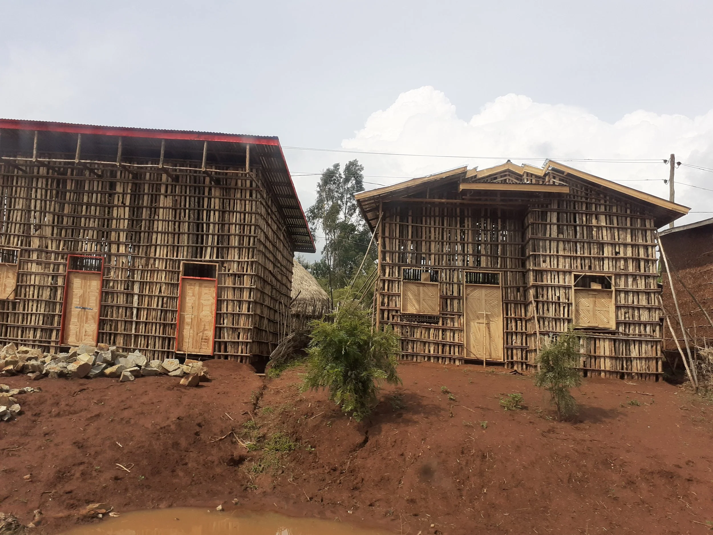 Holz ist NICHT NACHHALTIG in Äthiopien.jpg