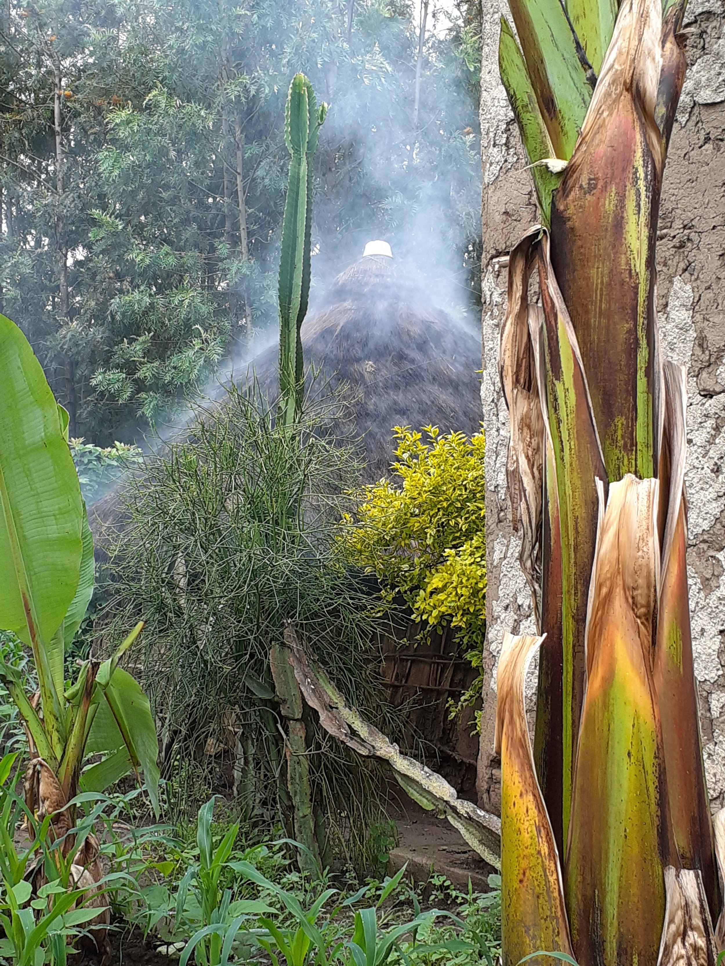 Kochstelle im Haus.jpg