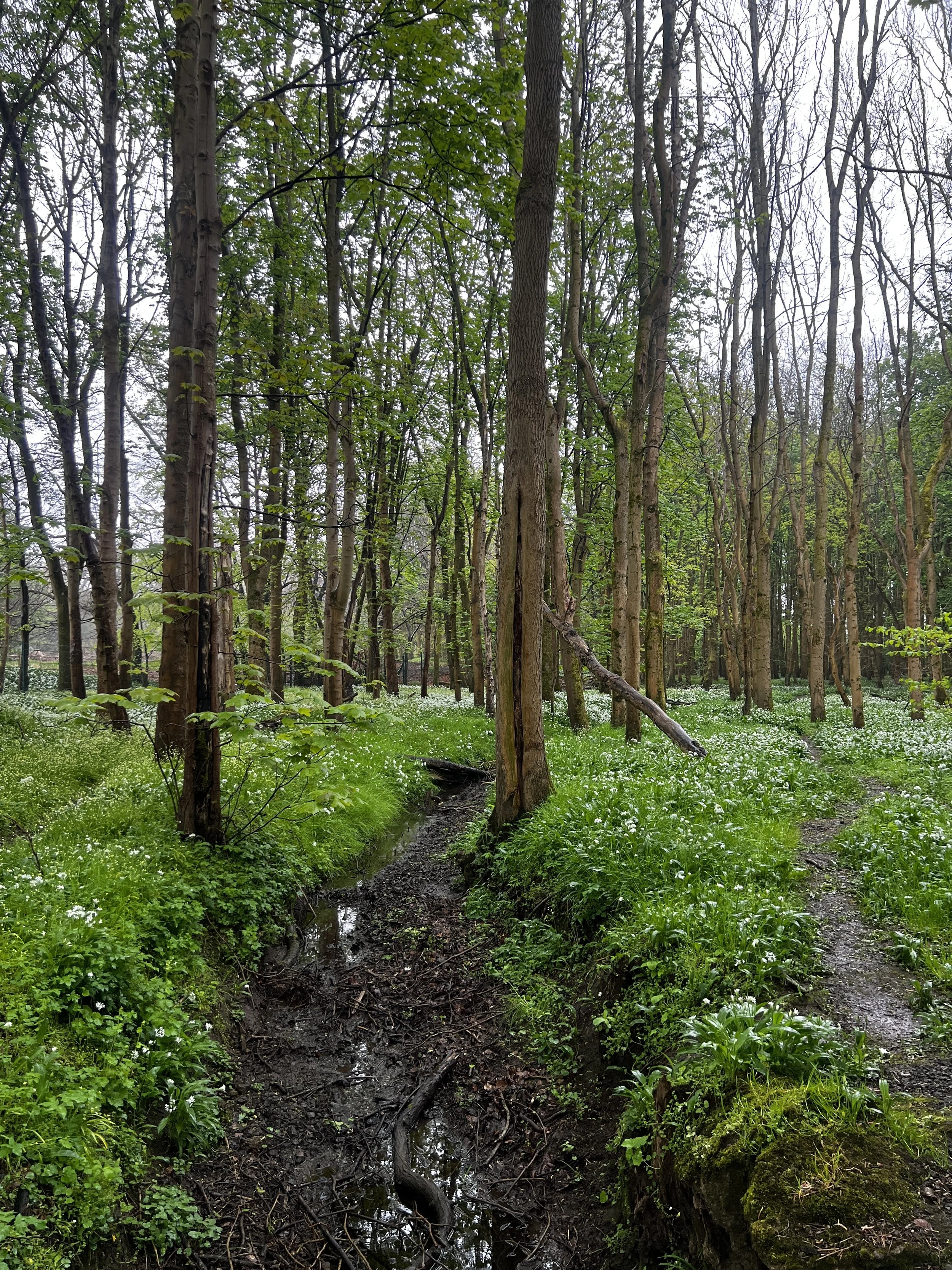 Why You’re Still Exhausted Even When You’re Trying to Rest.