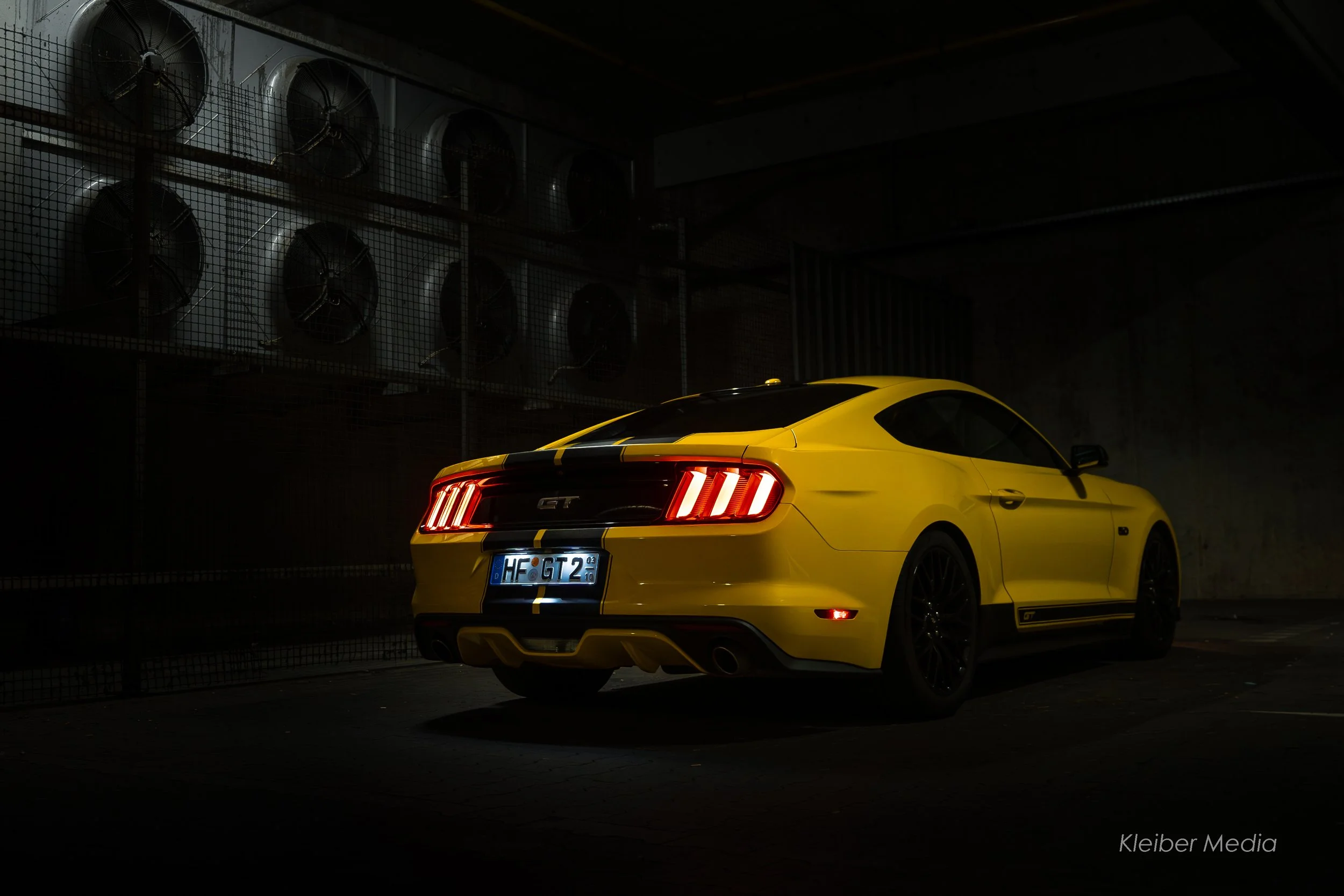 Mustang.jpg