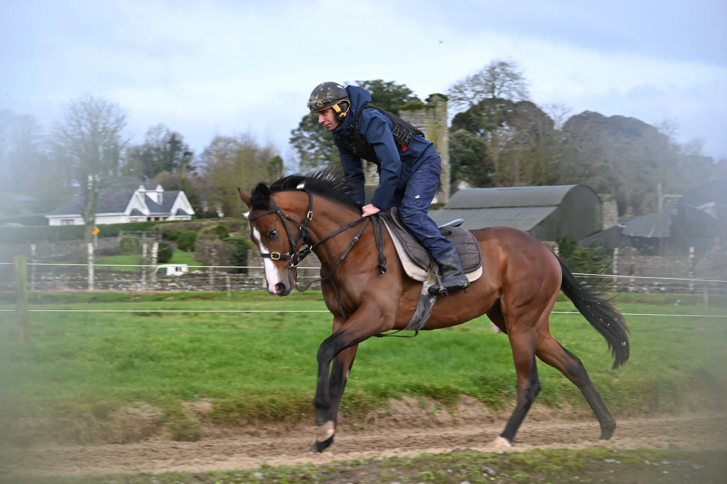 Sioux Nation Colt | In Training | Deep Group 1 Family