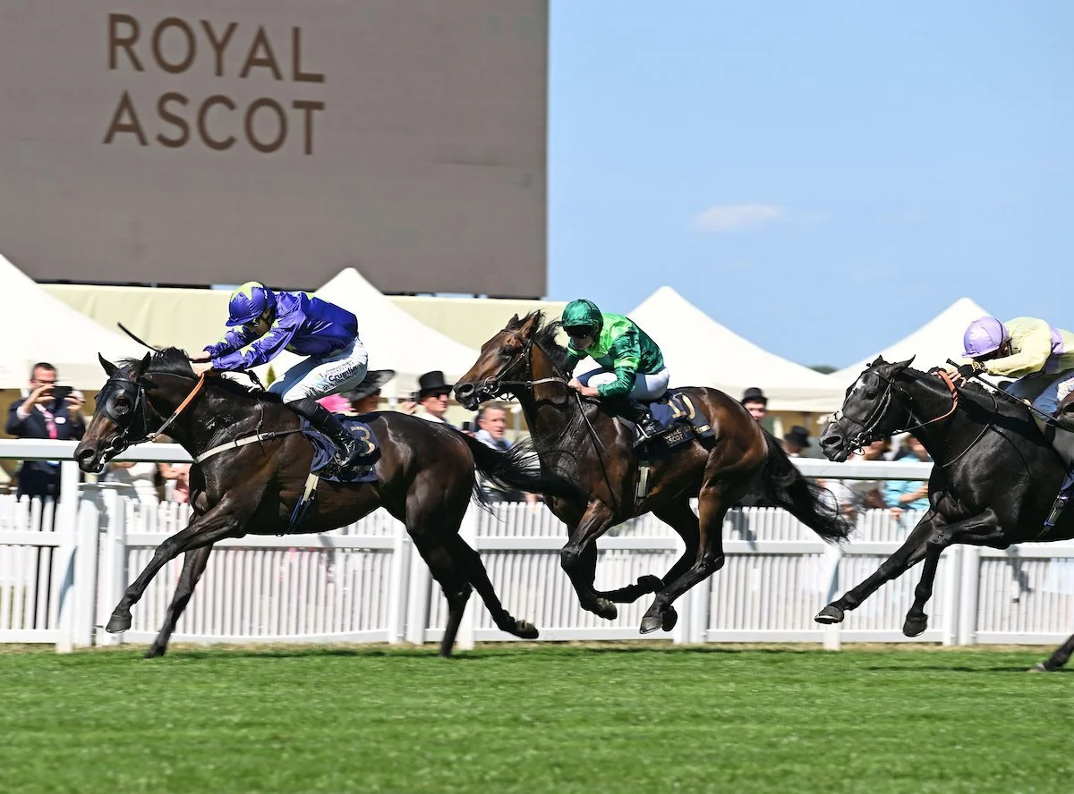 Royal Ascot Guide 