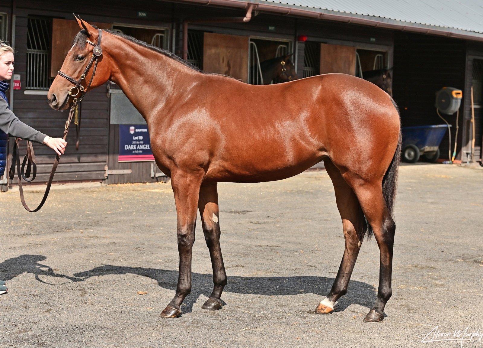 “She has the potential to develop into a high-class two-year-old”