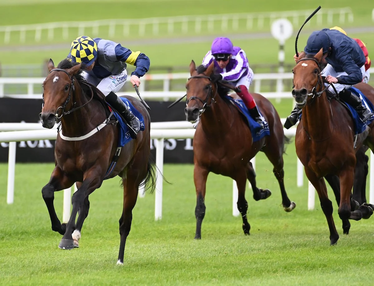 Deepone Curragh 13.jpg