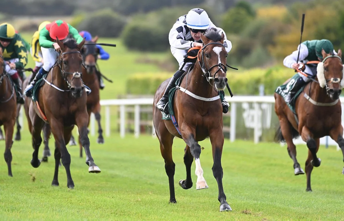 My Corbett Court (Navan).JPG