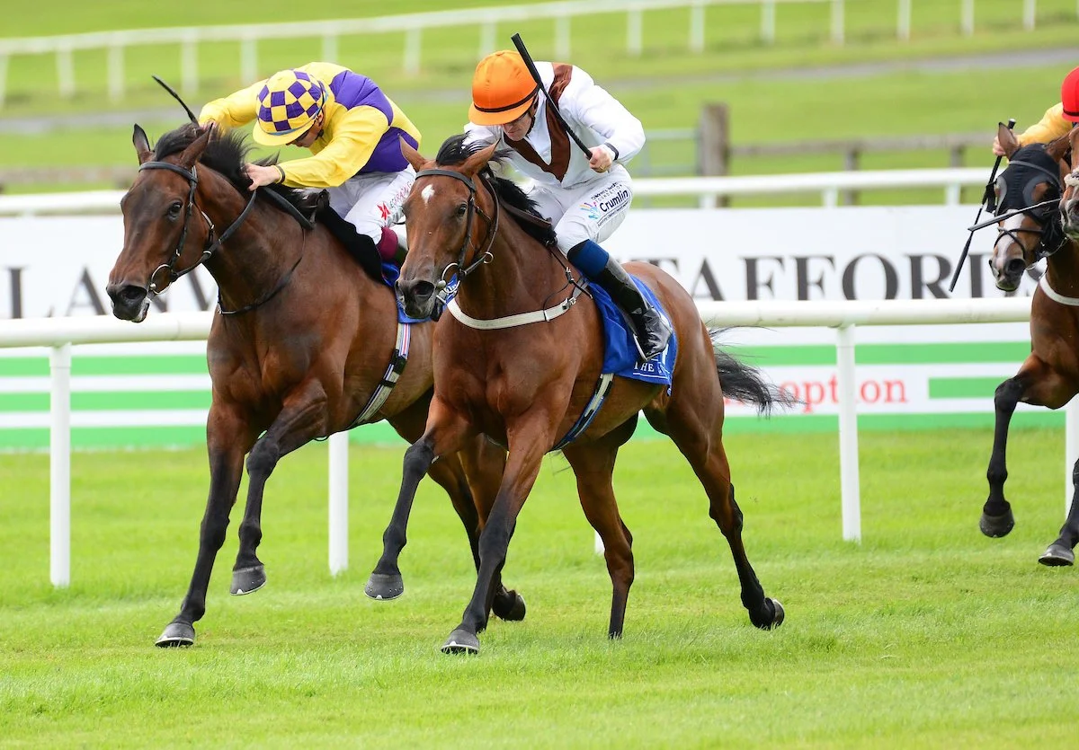 Pearls Galore Curragh 01.jpg