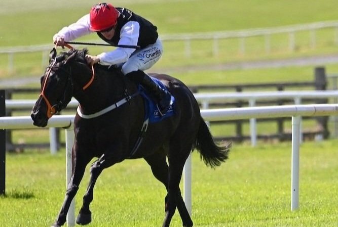 Just Beautiful Curragh 12.jpg