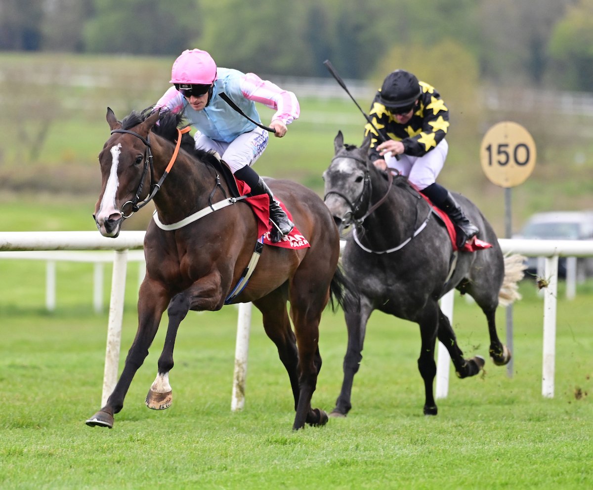 City of Memphis Gowran Park