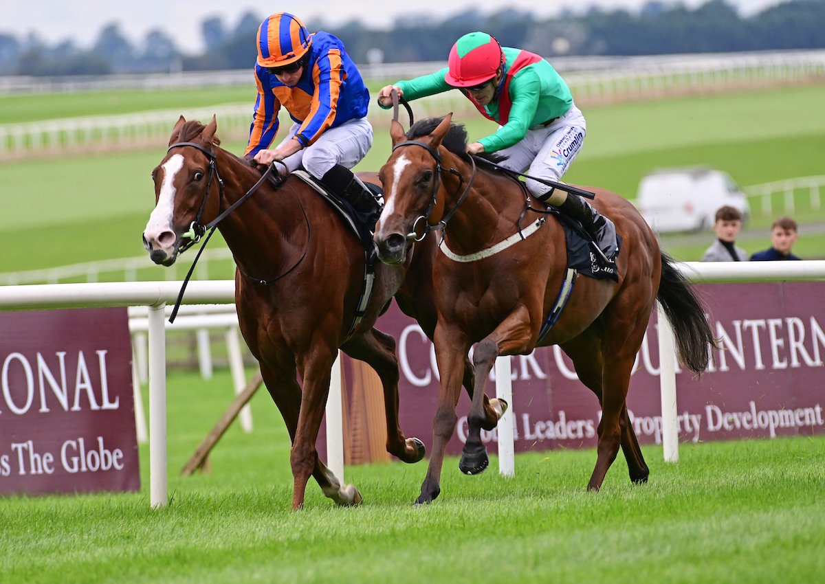 La Petite Coco Curragh f27.jpg