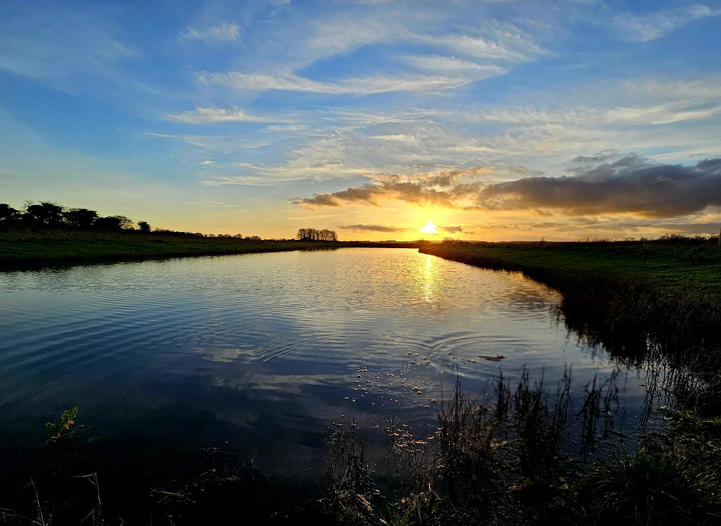The Ferals is now a Registered Biodiversity Gain Site