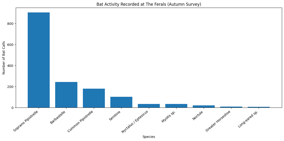 Bat activity survey results at The Ferals habitat bank in Dorset showing number of bat calls recorded by species including soprano pipistrelle, barbastelle and common pipistrelle.
