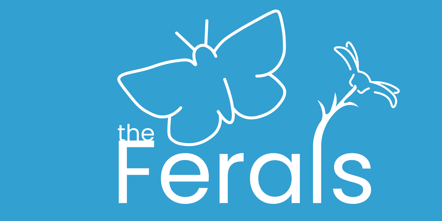 The Ferals - Biodiversity Net Gain (BNG) Units in Dorset