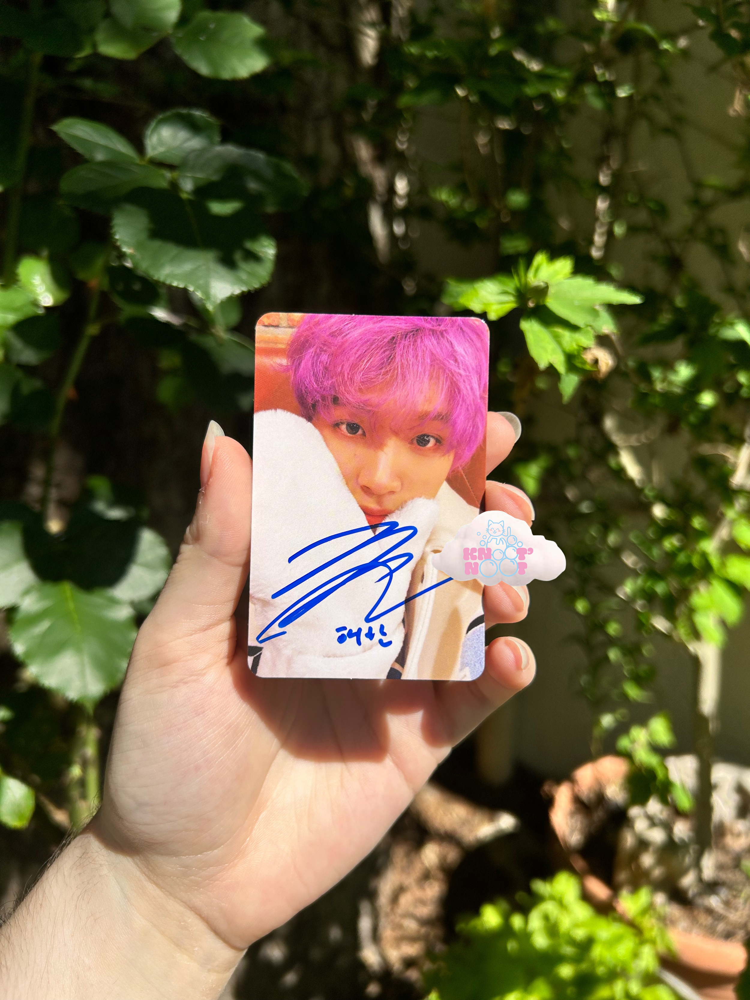 Haechan Photocard