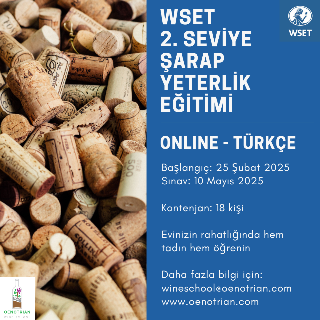 WSET Level 2 Award in Wines Turkish Language