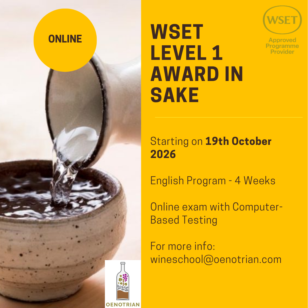 WSET 1 October 2024 (1).png